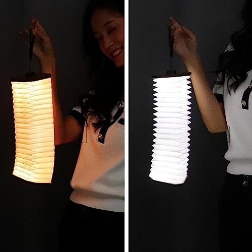 Portable Wooden LED Lamp